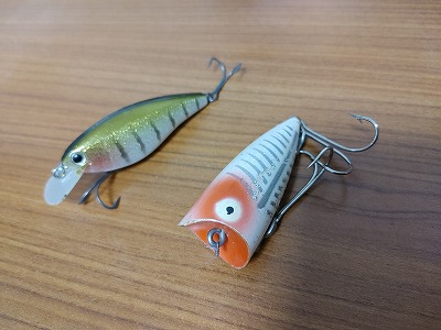 f:id:puchitenshi:20220201100521j:plain