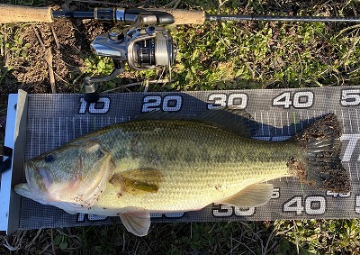 f:id:puchitenshi:20220410083452j:plain