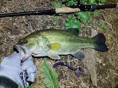 f:id:puchitenshi:20220410083928j:plain