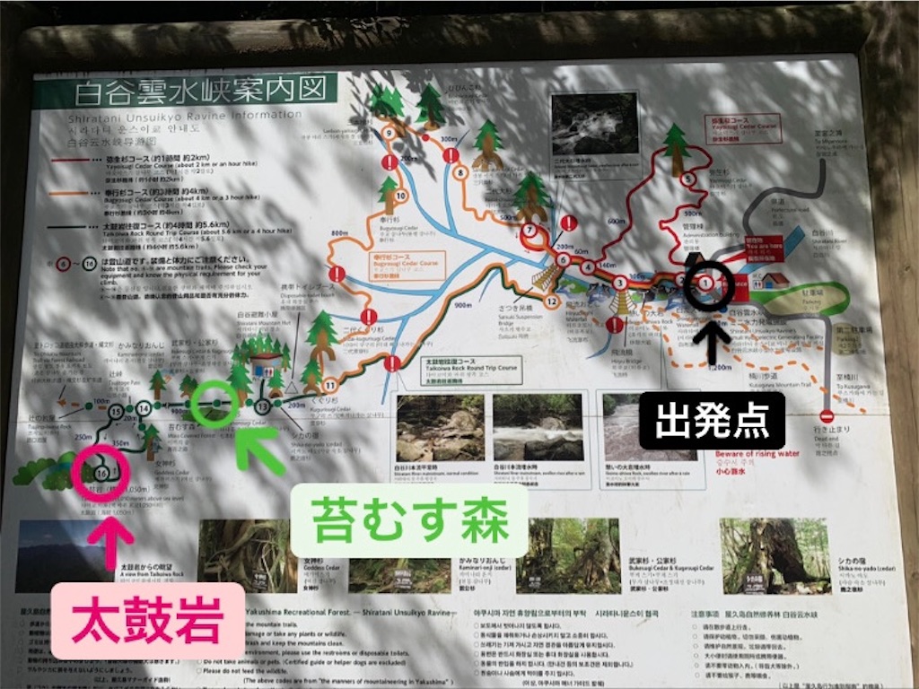 f:id:pucm9nvq:20210310191738j:image f:id:pucm9nvq:20210310191738j:image