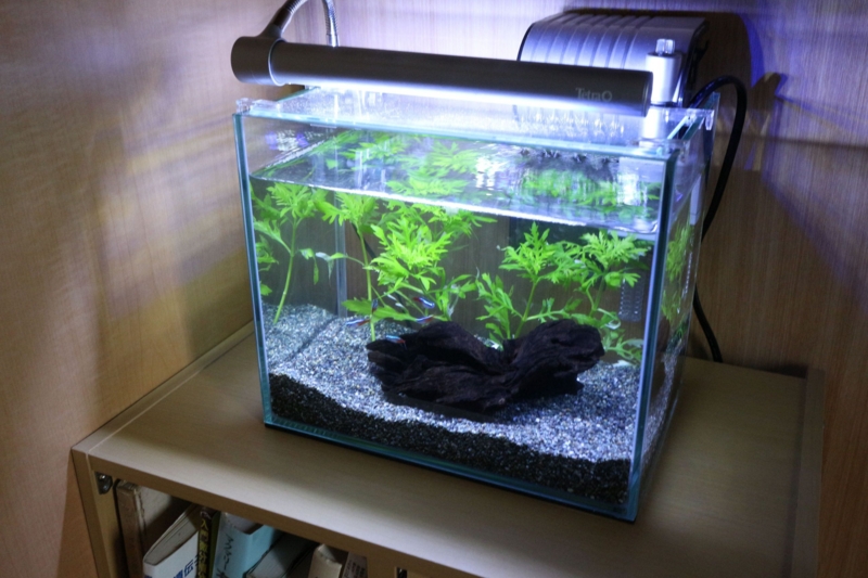 f:id:pudding_info:20160822201748j:plain