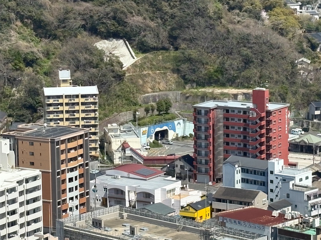 f:id:puddingsh0ugun:20250507133658j:image