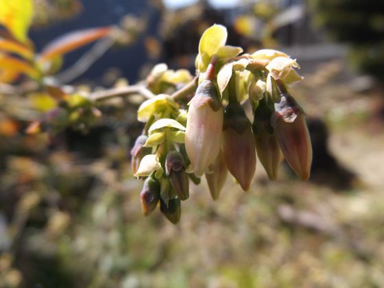 f:id:pudotful:20200322234633j:plain