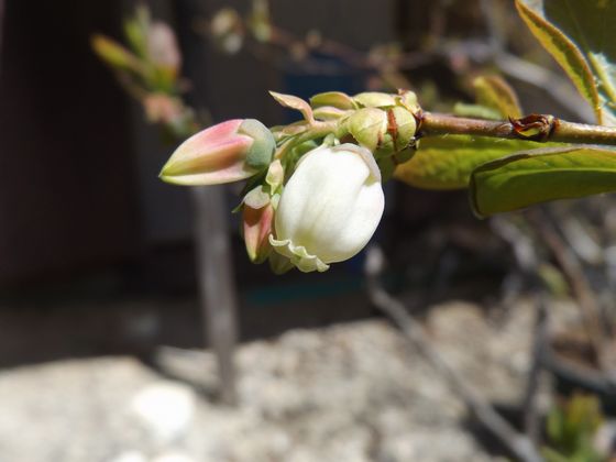 f:id:pudotful:20200423224643j:plain f:id:pudotful:20200423224643j:plain