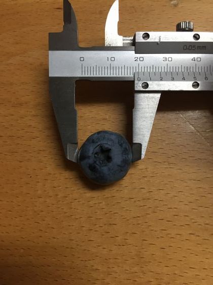 f:id:pudotful:20200607232218j:plain