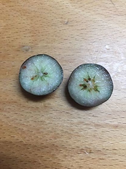 f:id:pudotful:20200607233405j:plain