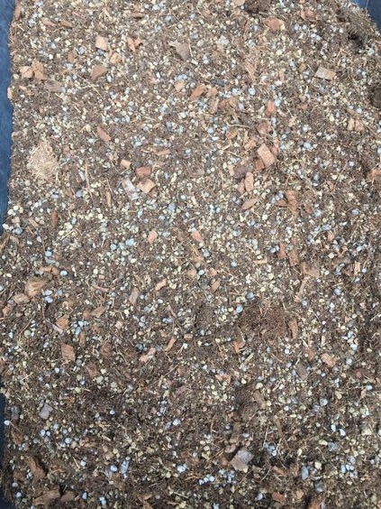 f:id:pudotful:20200826030348j:plain