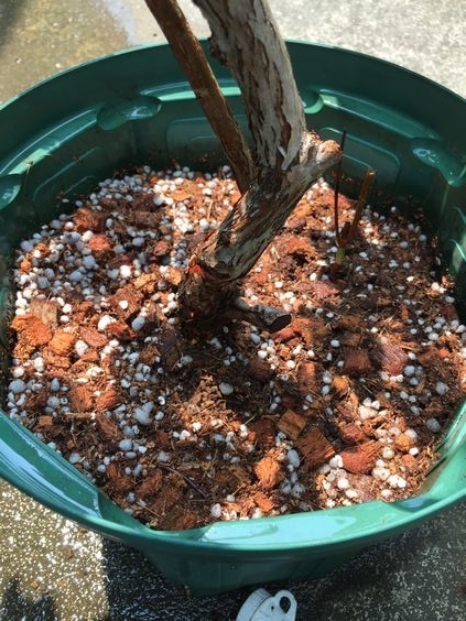 f:id:pudotful:20200826031539j:plain