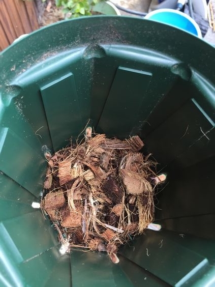 f:id:pudotful:20200826031839j:plain