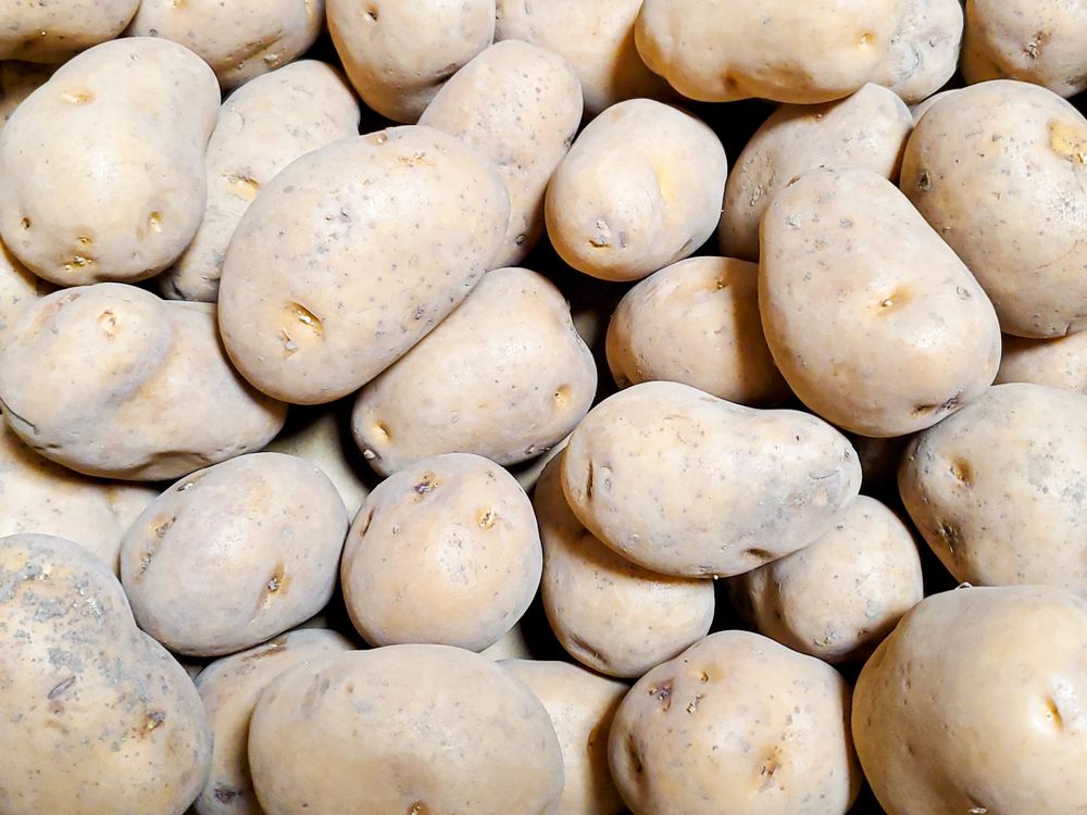 f:id:pudotful:20210905025810j:plain