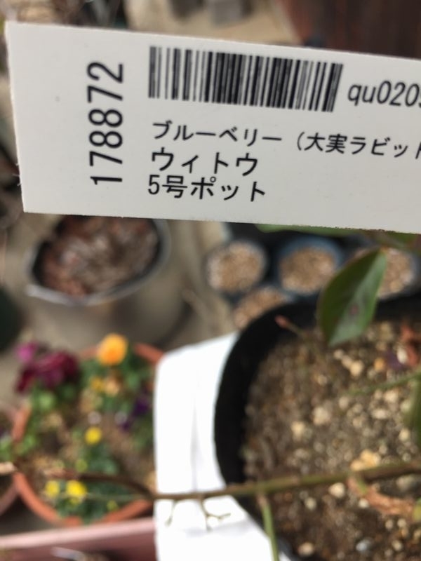 f:id:pudotful:20220311175510j:plain