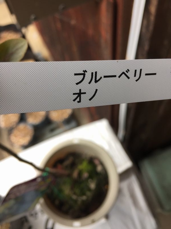 f:id:pudotful:20220311175530j:plain