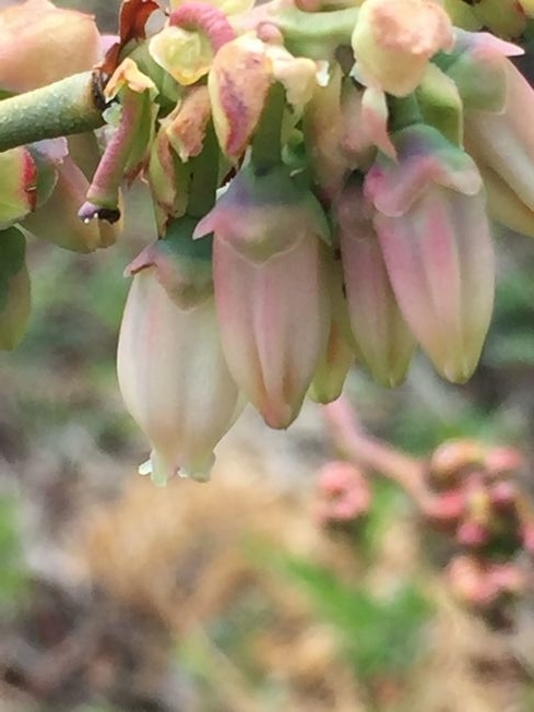 f:id:pudotful:20220323193134j:plain