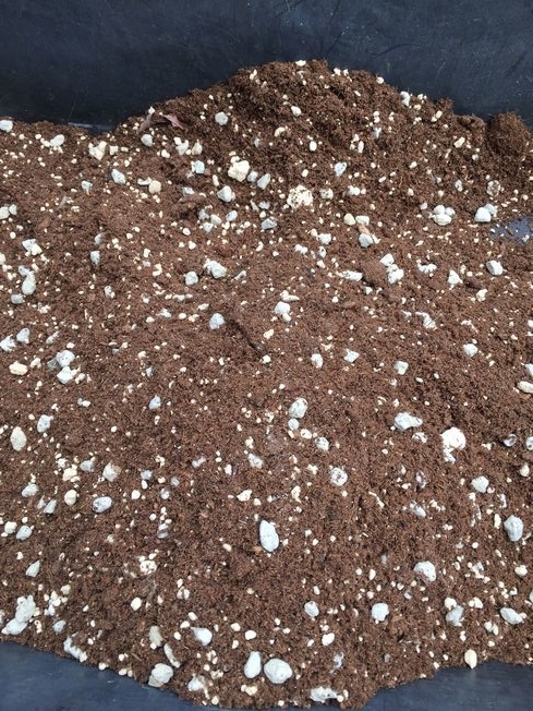 f:id:pudotful:20220325031901j:plain