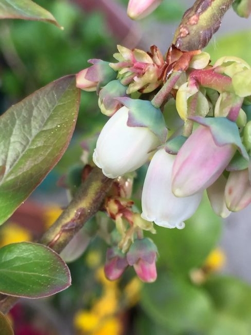 f:id:pudotful:20220406041702j:plain