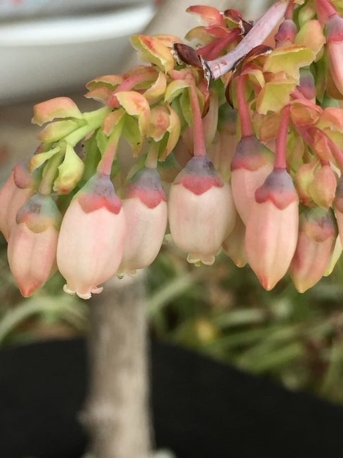 f:id:pudotful:20220408190425j:plain