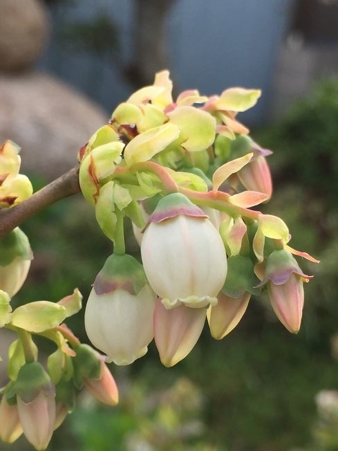 f:id:pudotful:20220409213246j:plain