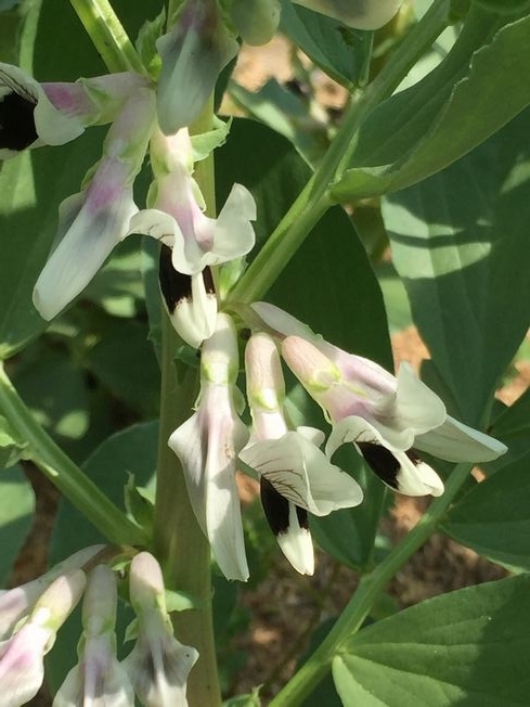 f:id:pudotful:20220413143643j:plain