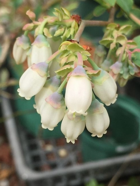 f:id:pudotful:20220414033323j:plain