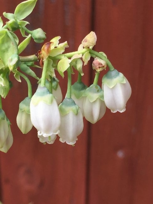 f:id:pudotful:20220414035317j:plain