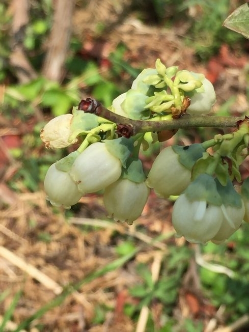 f:id:pudotful:20220416103525j:plain