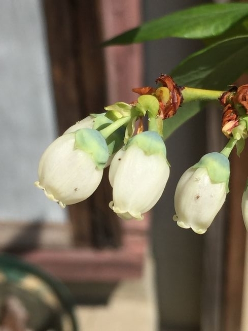 f:id:pudotful:20220416103711j:plain