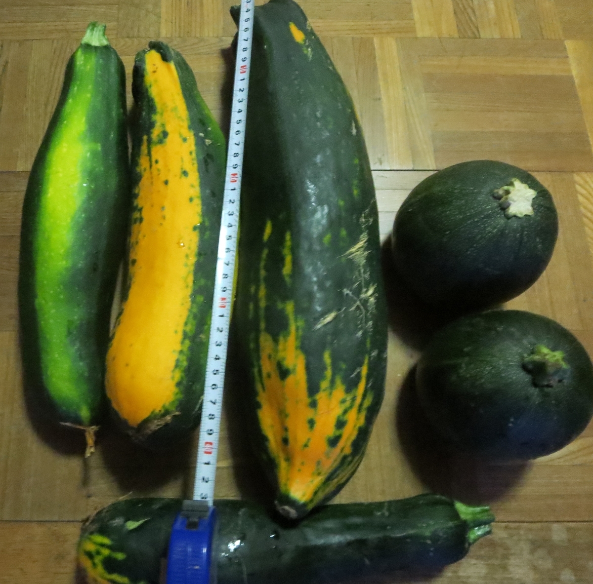 ズッキーニと国宝映画【puffinnagoya’s blog】