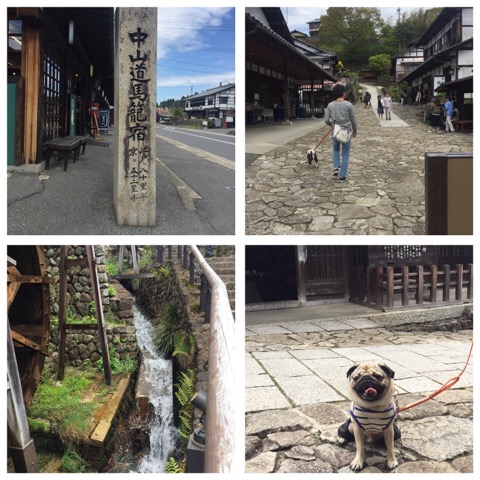 f:id:pughug:20170509135030j:plain f:id:pughug:20170509135030j:plain