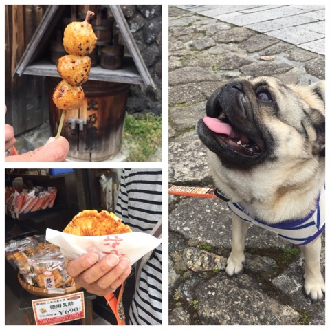 f:id:pughug:20170509135930j:plain f:id:pughug:20170509135930j:plain