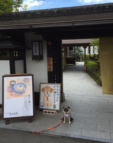 f:id:pughug:20170509141545j:plain f:id:pughug:20170509141545j:plain
