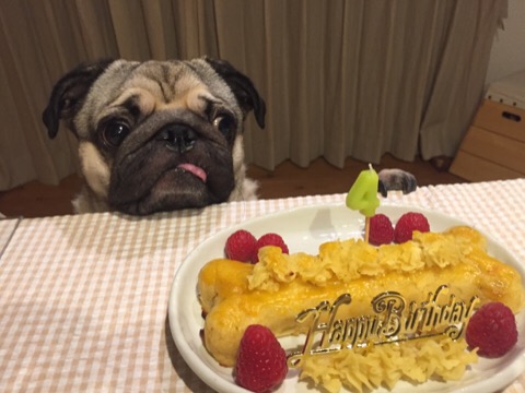 f:id:pughug:20170927134153j:plain f:id:pughug:20170927134153j:plain