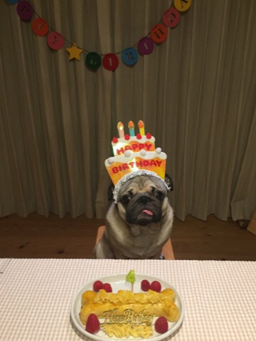 f:id:pughug:20170927135318j:plain f:id:pughug:20170927135318j:plain