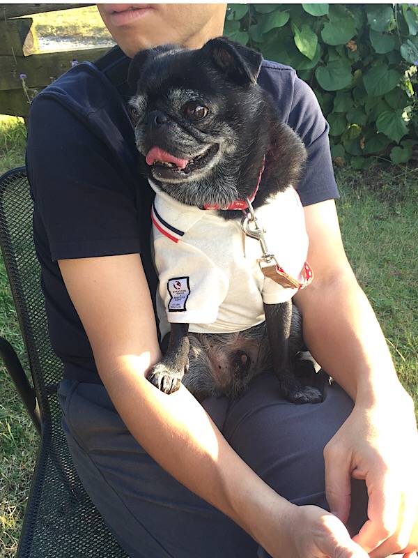 f:id:pughug:20171013182245j:plain f:id:pughug:20171013182245j:plain
