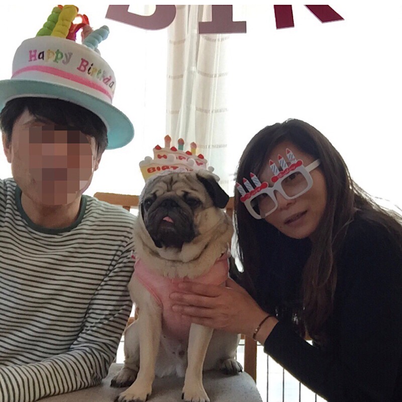 f:id:pughug:20180402191514j:plain f:id:pughug:20180402191514j:plain