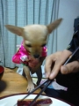 20091113180757