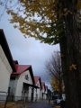 20091114153144