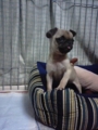 20091121205710