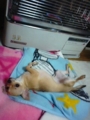 20091205082925