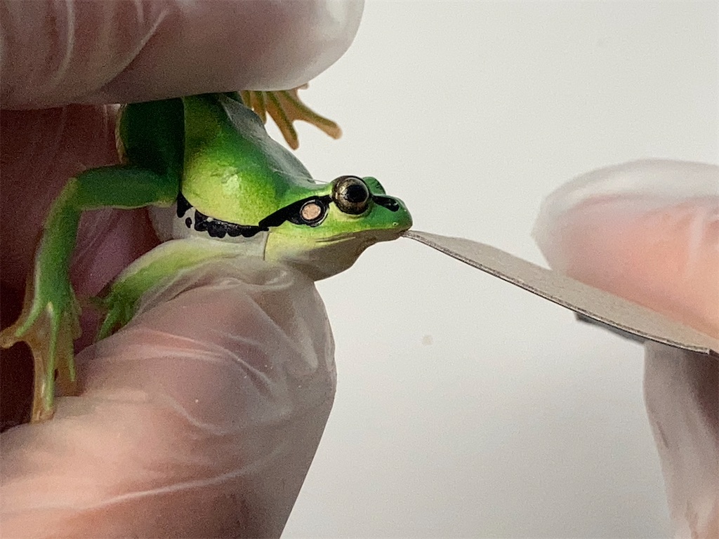 f:id:puipuigaeru:20230622101932j:image f:id:puipuigaeru:20230622101932j:image