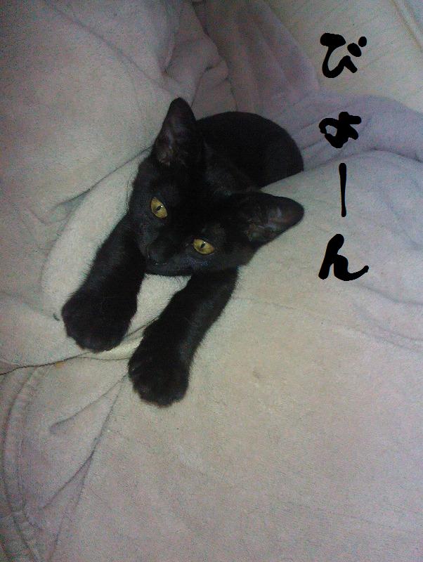 イメージ 1