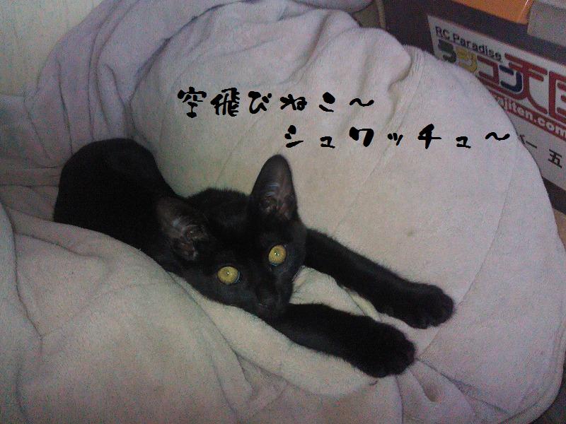 イメージ 2