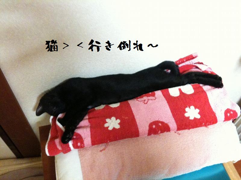 イメージ 4