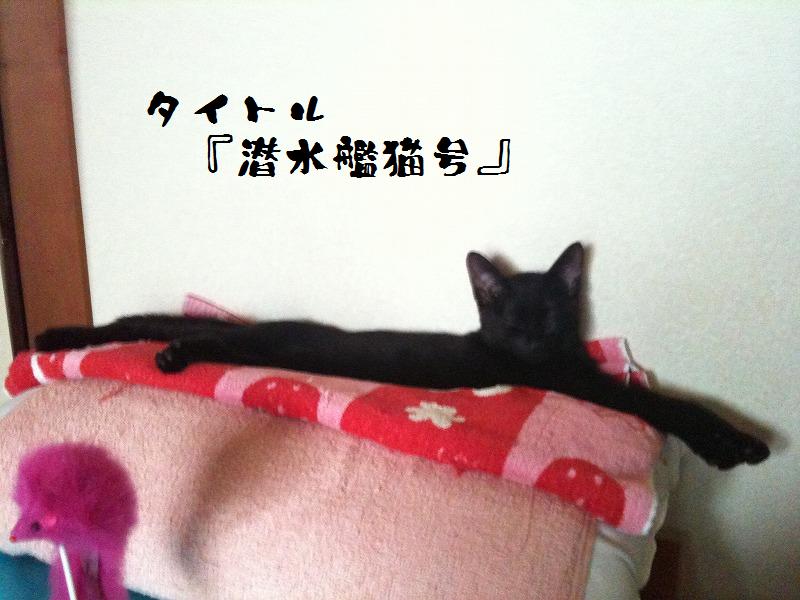 イメージ 5