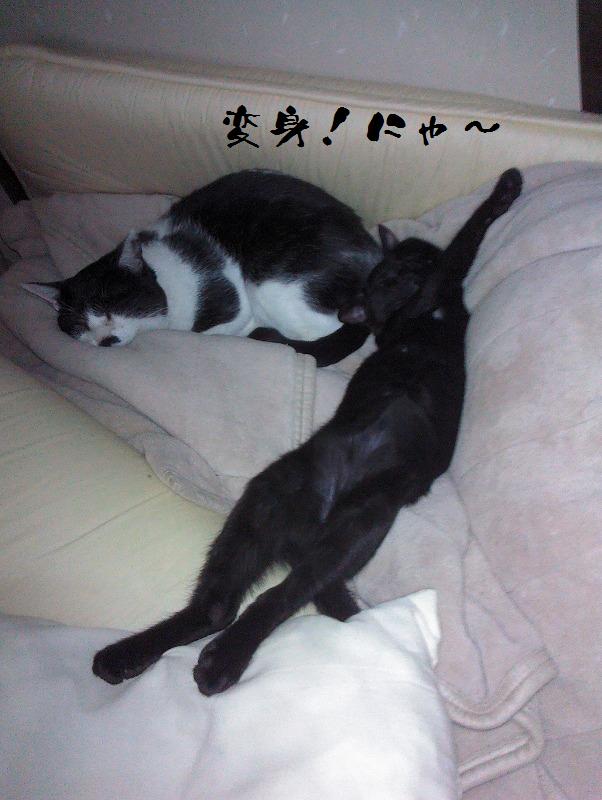 イメージ 6