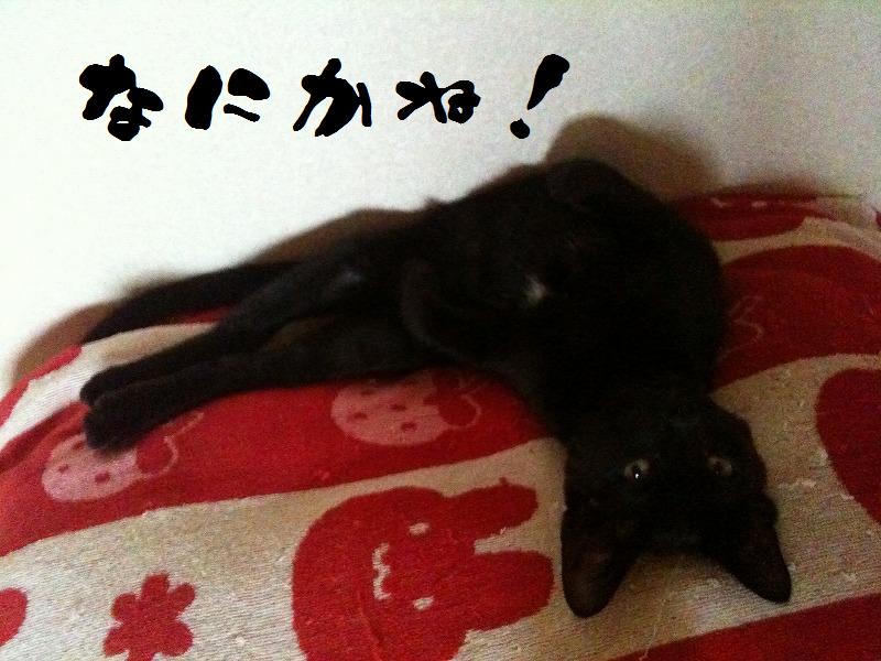 イメージ 7
