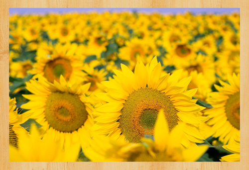 f:id:puisto:20120802190839j:image f:id:puisto:20120802190839j:image