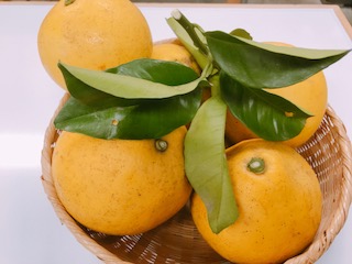 f:id:pukapuka-pan:20180228185310j:plain f:id:pukapuka-pan:20180228185310j:plain