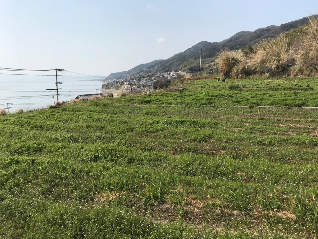 f:id:pukapuka-pan:20180311103945j:plain f:id:pukapuka-pan:20180311103945j:plain