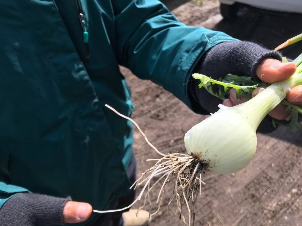 f:id:pukapuka-pan:20180311104419j:plain f:id:pukapuka-pan:20180311104419j:plain