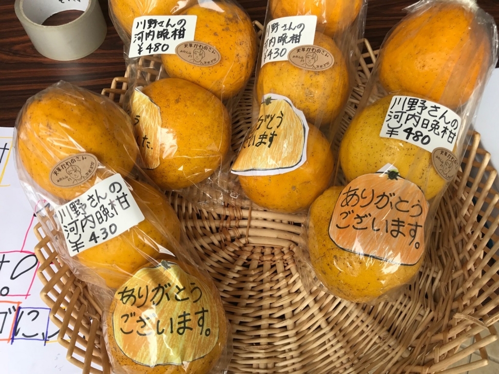 f:id:pukapuka-pan:20180415010454j:plain f:id:pukapuka-pan:20180415010454j:plain